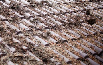 Stibbington roof cleaning companies